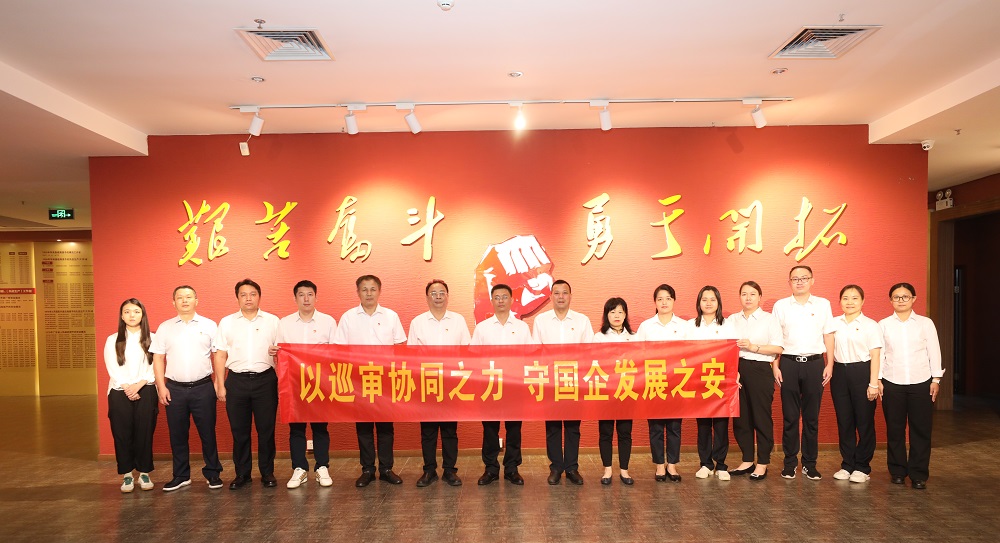 【我们的节日】实干拓“审”砥砺前行